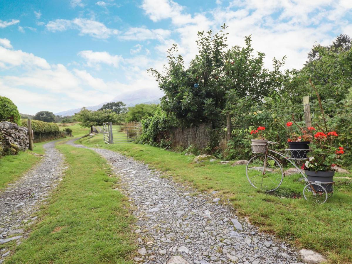 Cwm Caeth Cottage Карнарфон Екстериор снимка